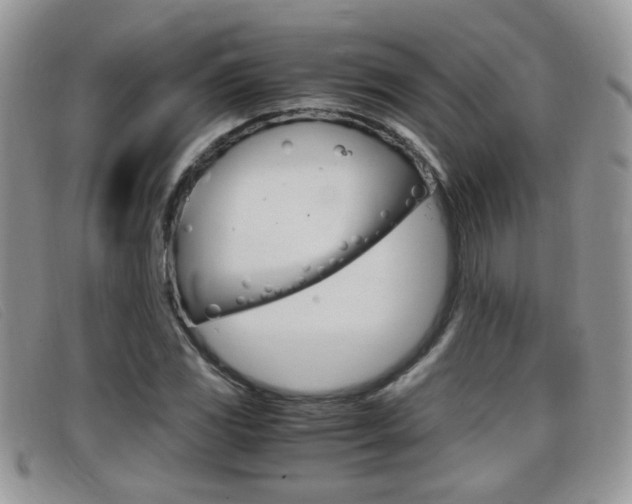X0000099431117200805090721