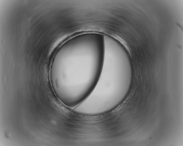 X0000099431120200805090721