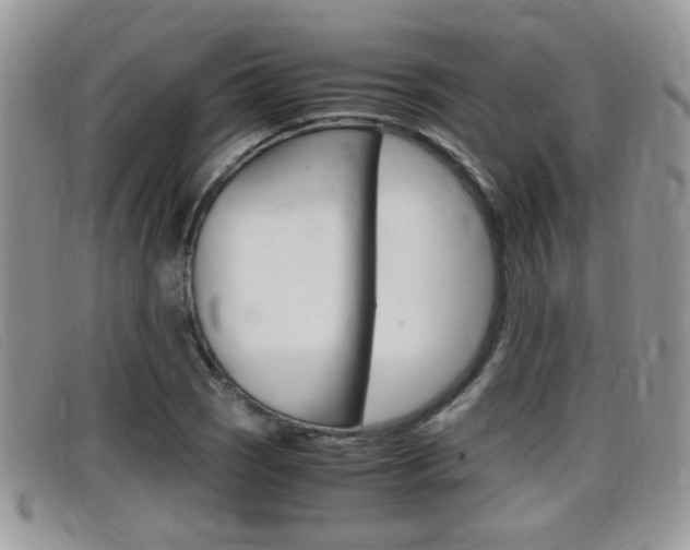 X0000099431121200805090721