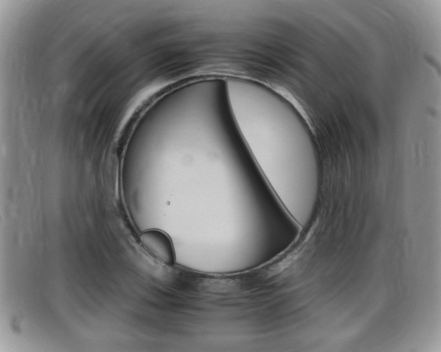 X0000099431123200805090721