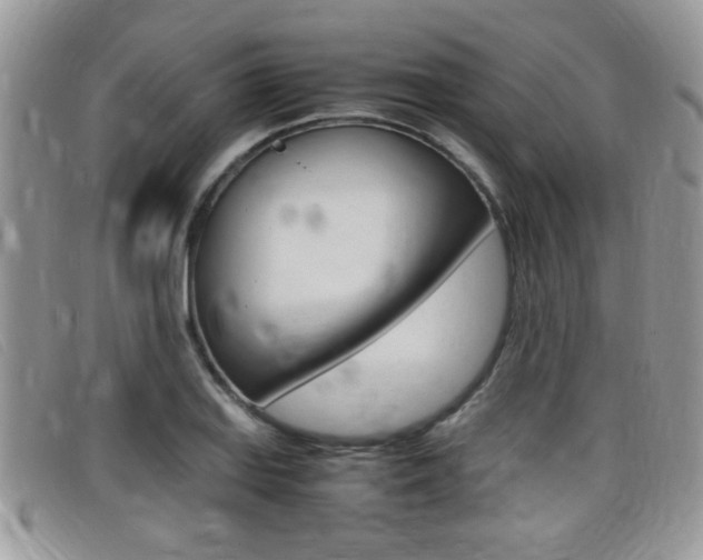 X0000099431127200805090721