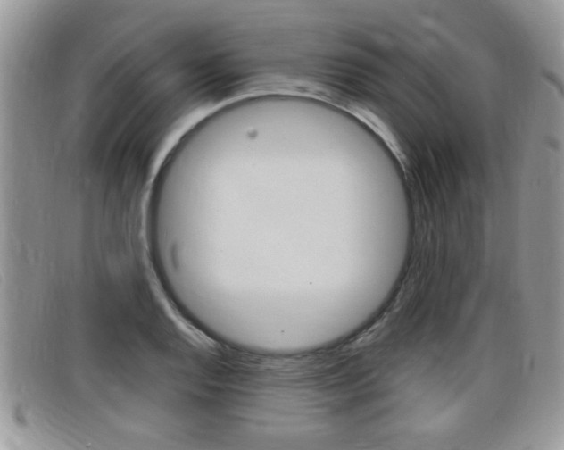 X0000099431128200805090721