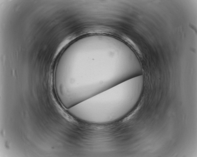 X0000099431130200805090721