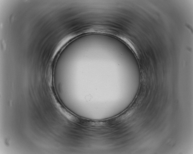 X0000099431131200805090721
