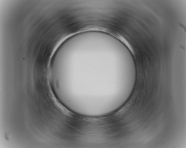X0000099431132200805090721