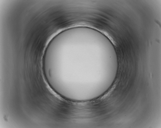 X0000099431134200805090721