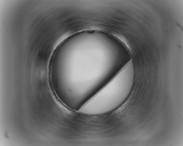 X0000099431135200805090721