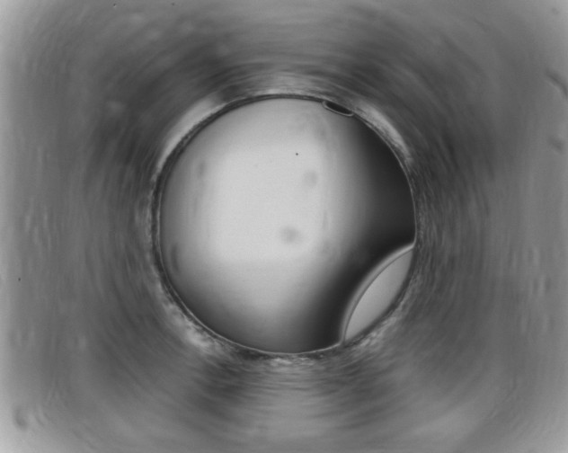 X0000099431138200805090721