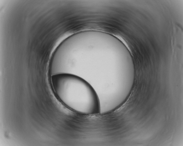 X0000099431139200805090721