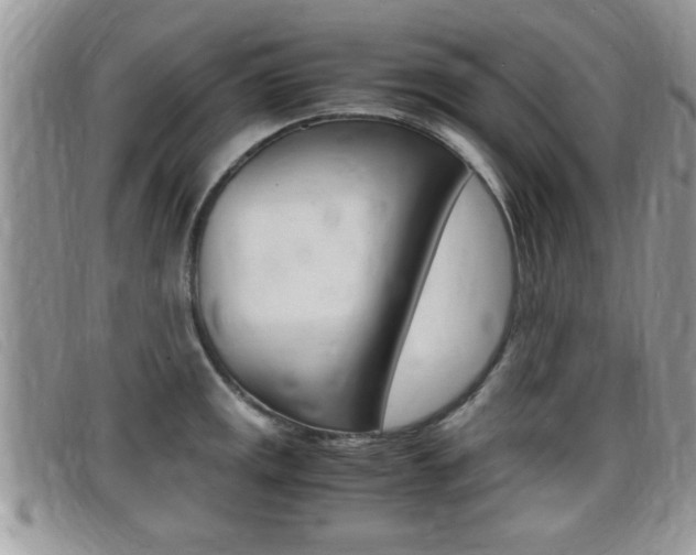 X0000099431141200805090721