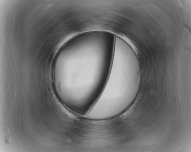 X0000099431142200805090721
