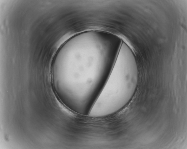X0000099431143200805090721