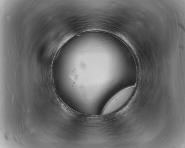 X0000099431145200805090721
