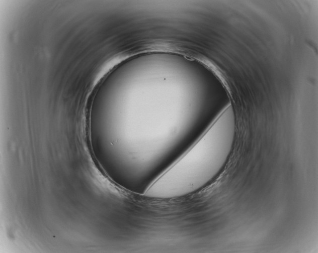 X0000099431147200805090721