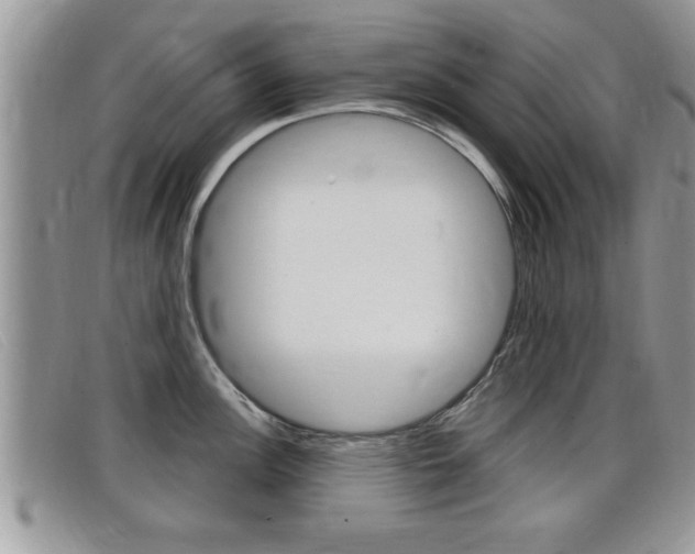 X0000099431148200805090721
