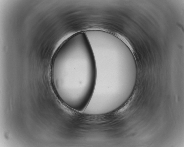 X0000099431149200805090721