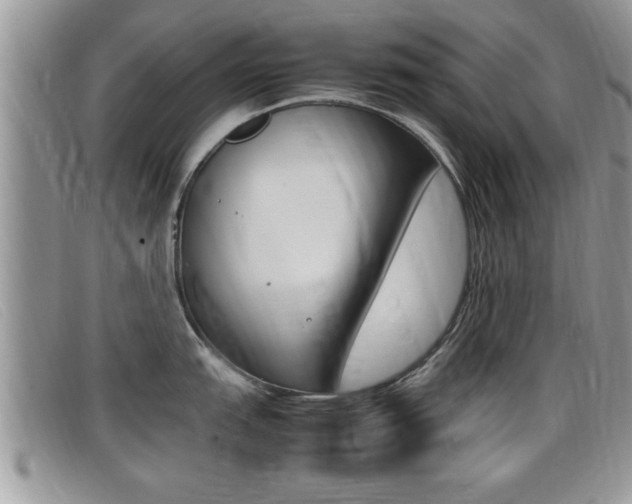 X0000099431151200805090721