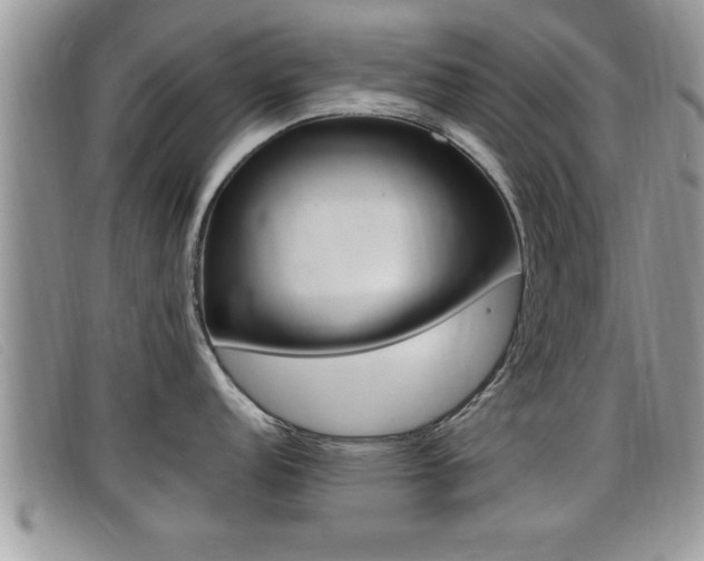 X0000099431152200805090721