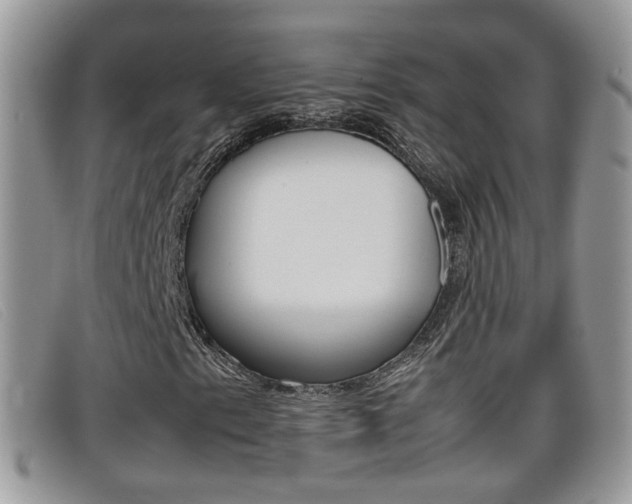 X0000099431153200805090721
