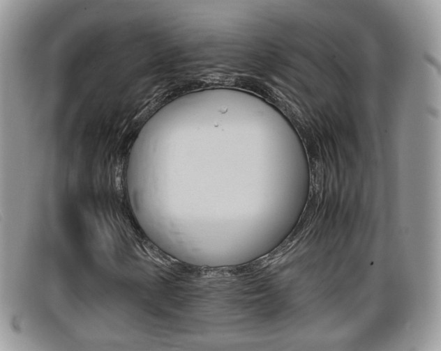 X0000099431154200805090721