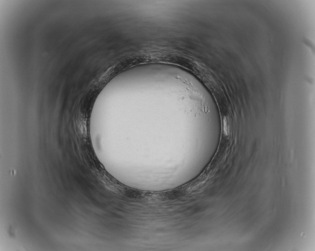 X0000099431155200805090721