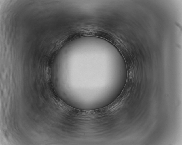 X0000099431156200805090721