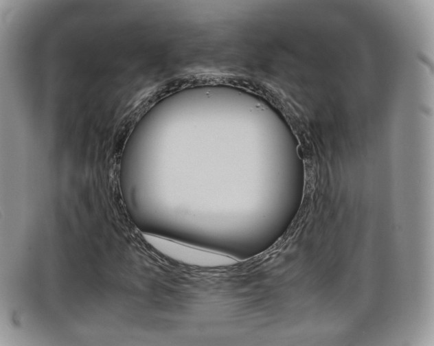 X0000099431157200805090720