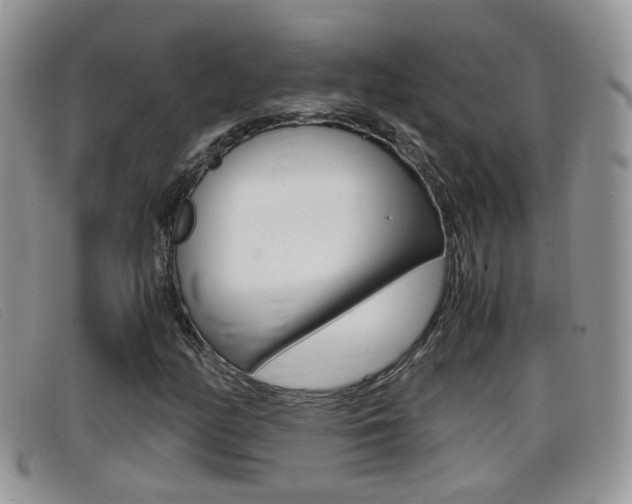 X0000099431158200805090720
