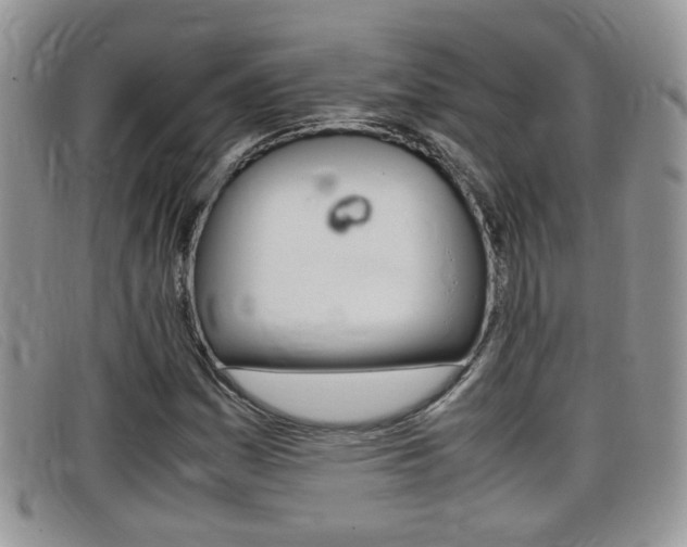 X0000099431161200805090720
