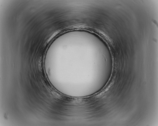 X0000099431162200805090720