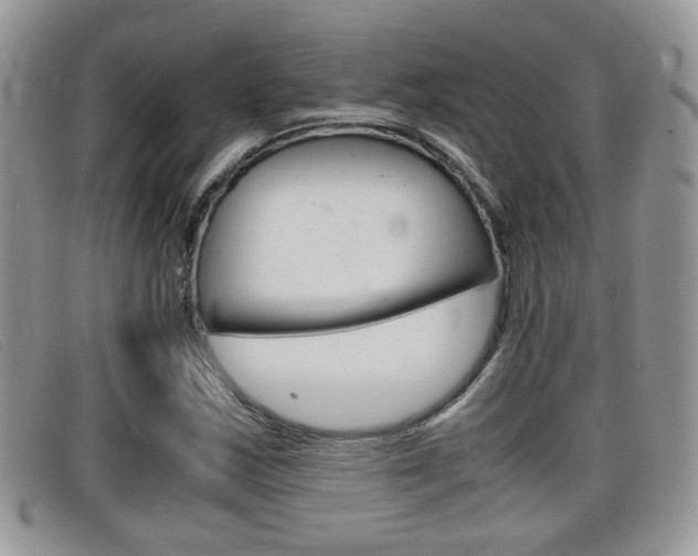 X0000099431163200805090720