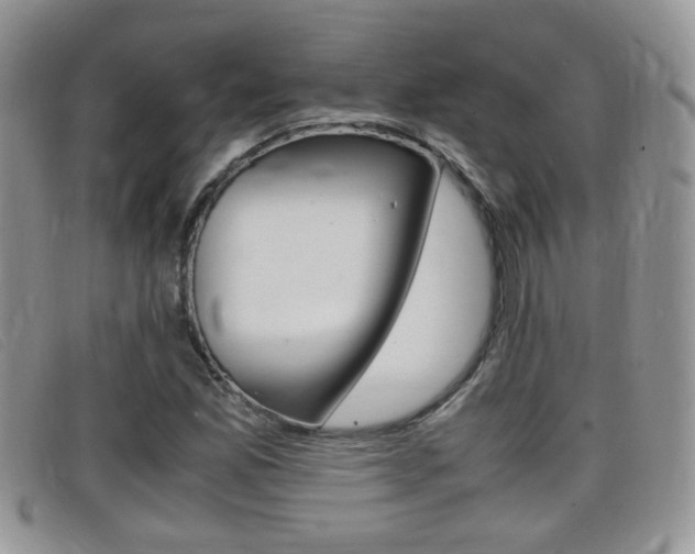 X0000099431165200805090720