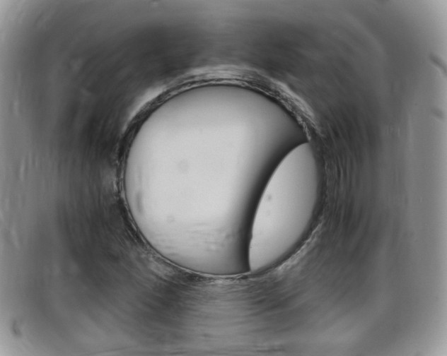 X0000099431166200805090720