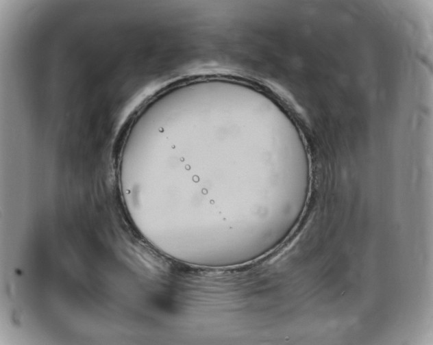 X0000099431167200805090720