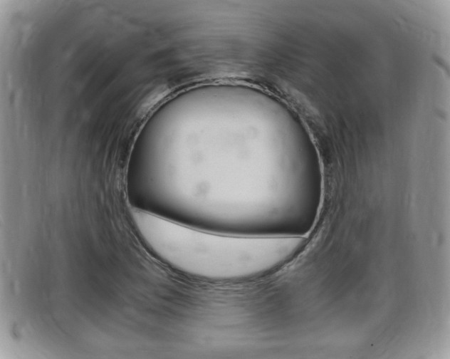 X0000099431169200805090720