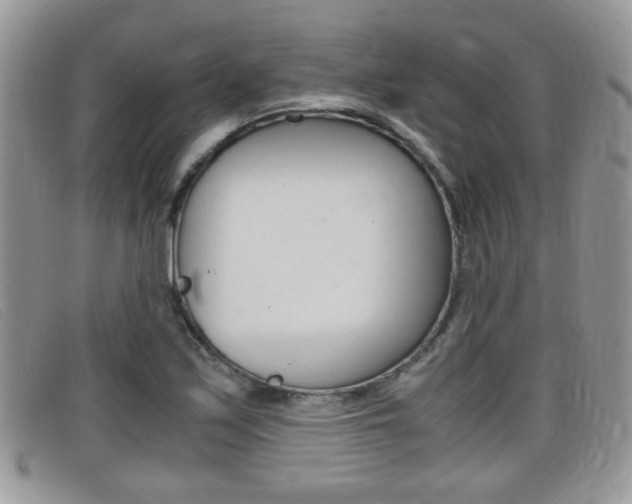 X0000099431171200805090720