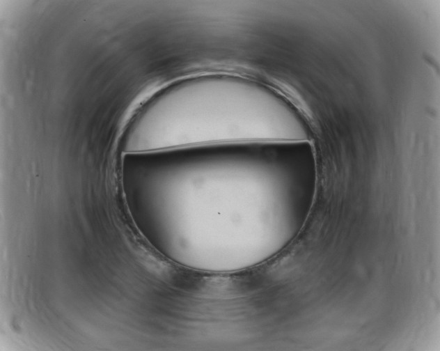 X0000099431172200805090720