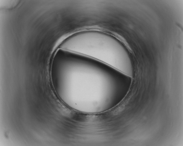 X0000099431176200805090720