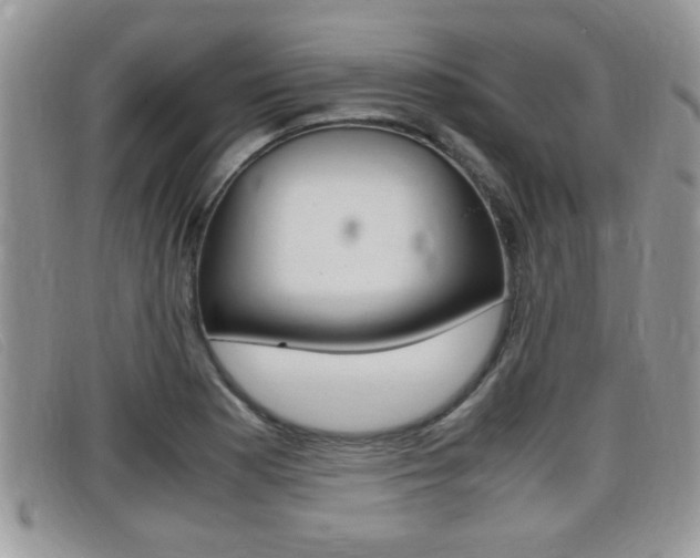 X0000099431177200805090720