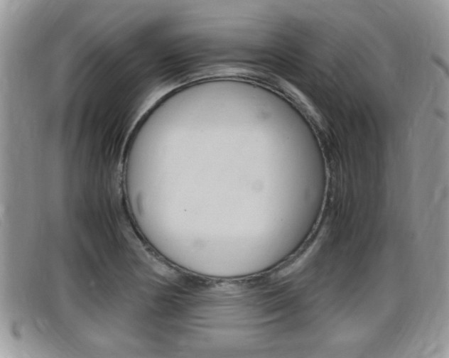 X0000099431178200805090720