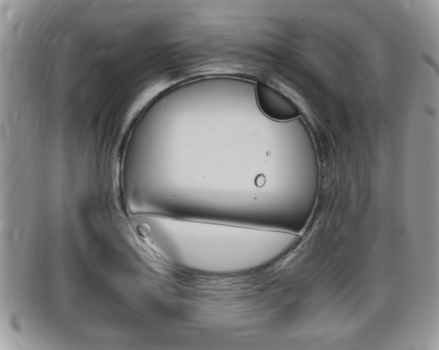 X0000099431179200805090720