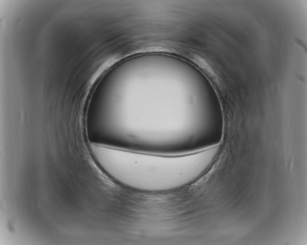 X0000099431181200805090720