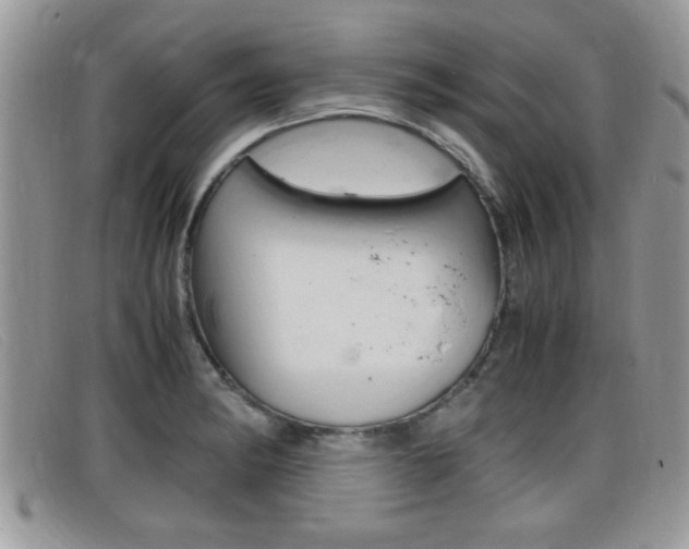 X0000099431182200805090720