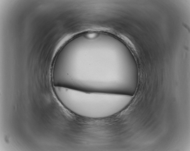 X0000099431183200805090720