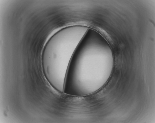 X0000099431184200805090720