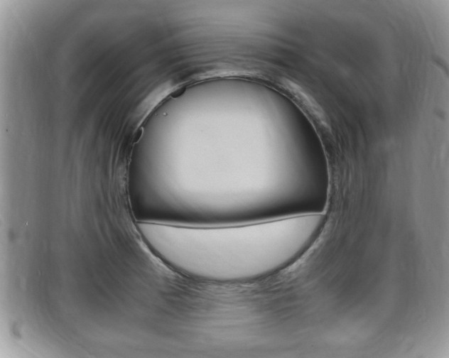 X0000099431185200805090720