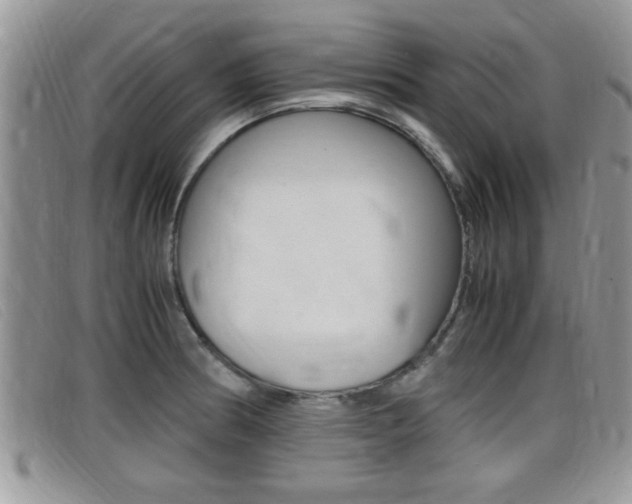 X0000099431186200805090720