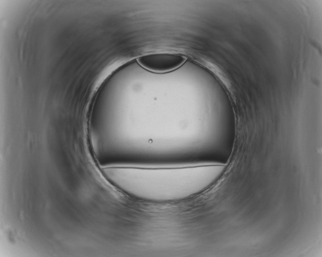 X0000099431187200805090720