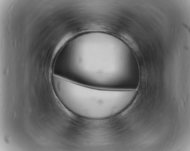 X0000099431188200805090720