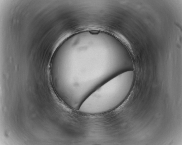 X0000099431190200805090720